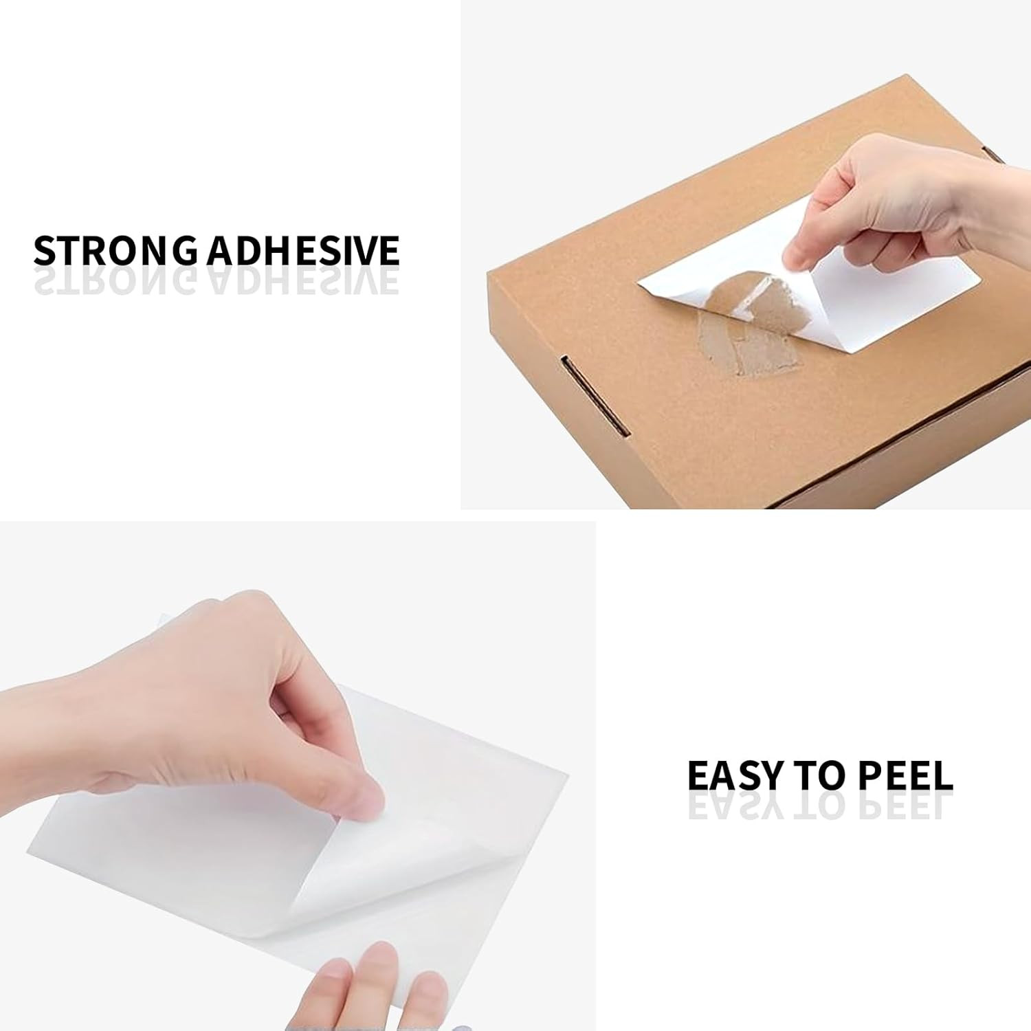 2 Rolls Thermal Label Paper, 4×6” Compatible with C10