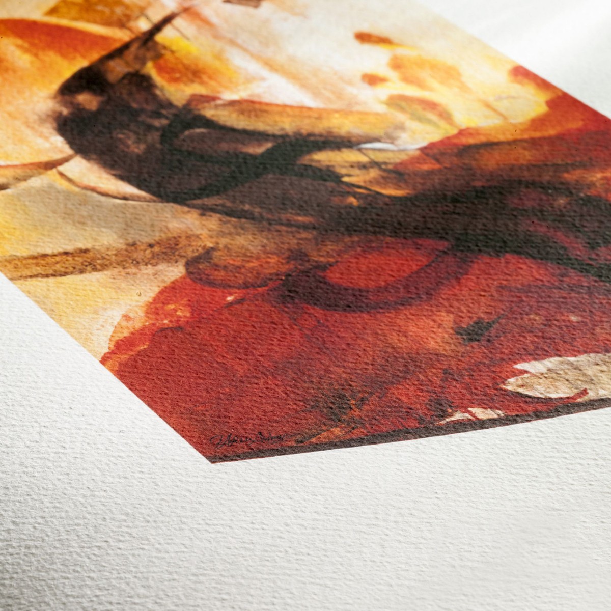 Hahnemuhle Matt FineArt Smooth Paper Sample Pack, 8.5×11″, 10 Sheets #11640303