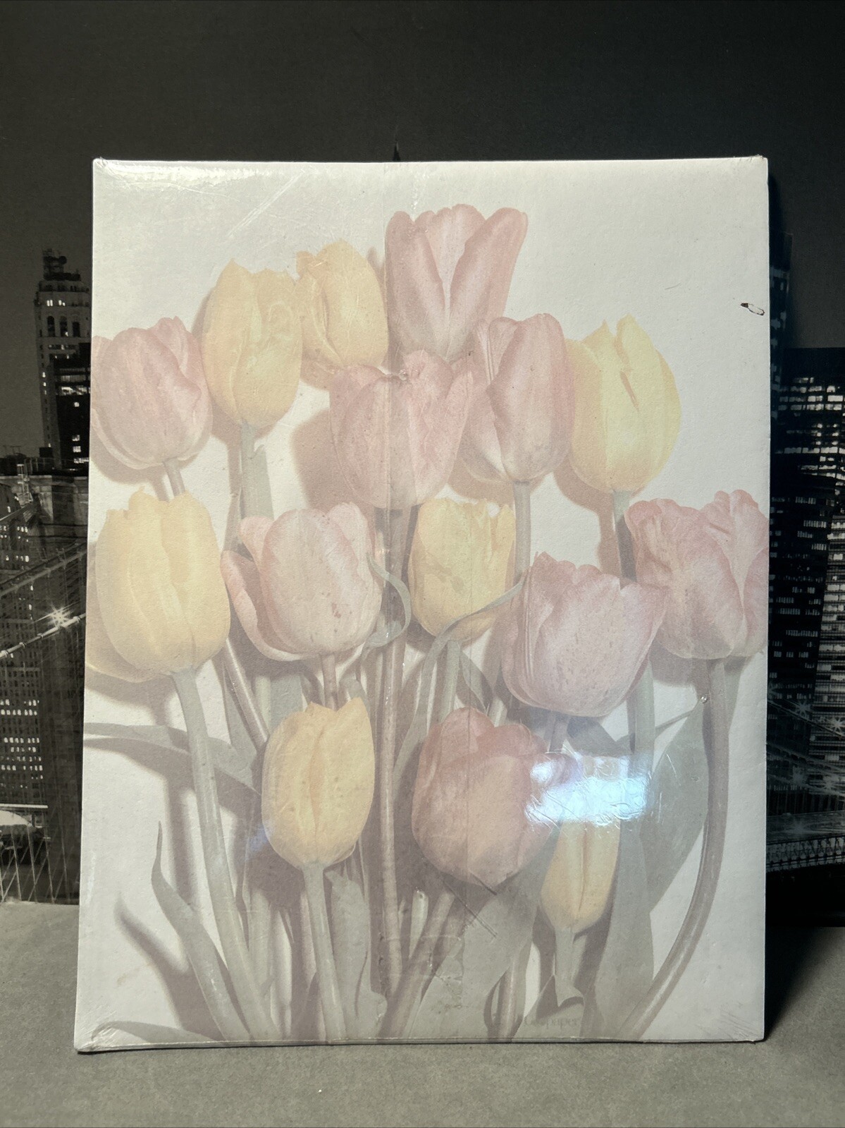 Geo graphics Geo Paper Tulips Flowers Printed Printer Vintage 1990s Sealed New