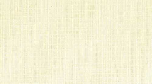 60 INVITATION RESUME WATERMARKED LINEN PAPER IVORY, MENUS, SCHOOL PROJECT