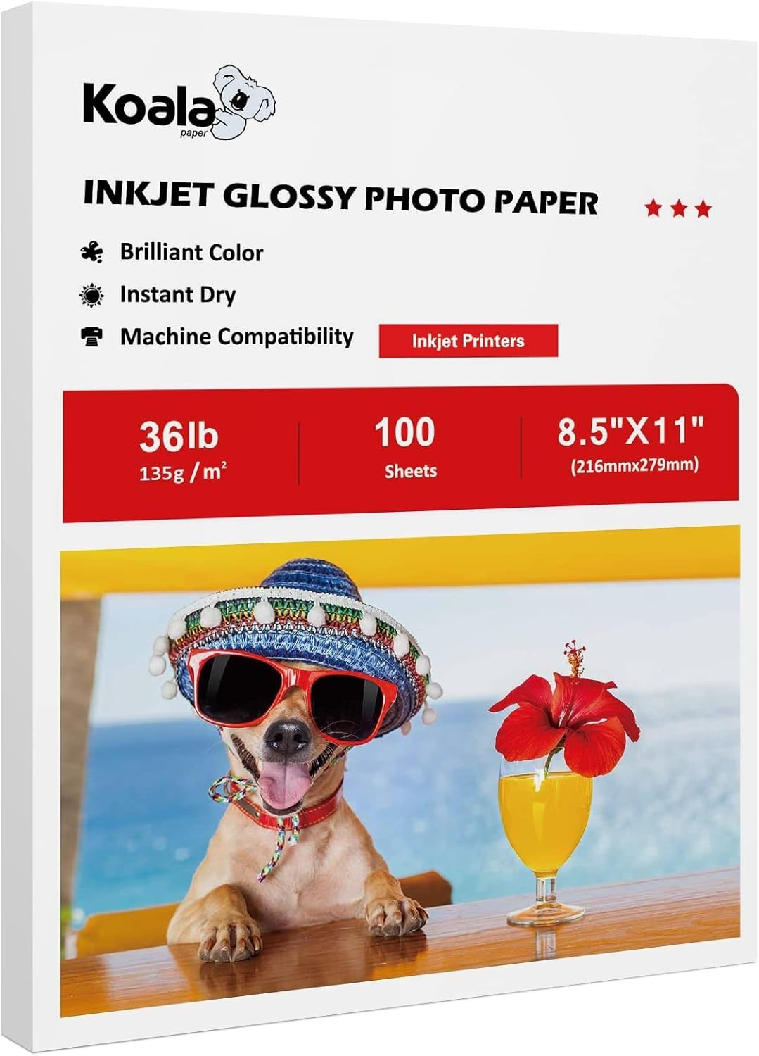 Lucid Prints: Koala 8.5×11 Glossy Inkjet Paper, 100 Sheets for Crisp Graphics