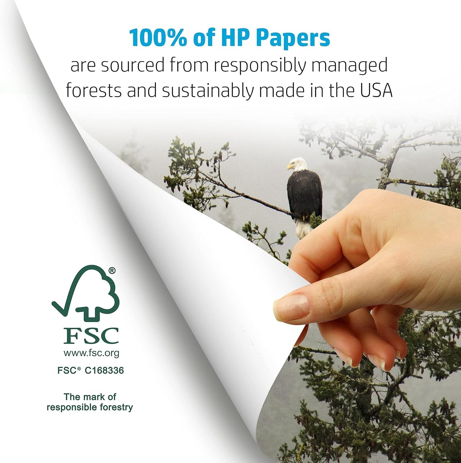 New White 8.5×11 Copy Paper, 500 Sheets, Matte Finish, FSC Certified