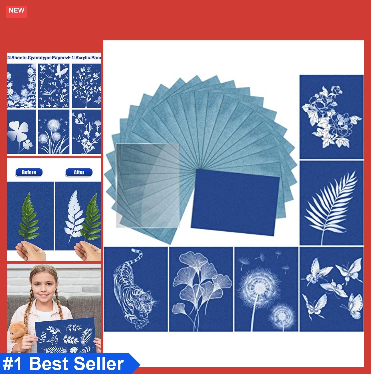 Sun Print Paper Kit 24 Sheets Cyanotype Paper Acrylic Board Solar Activated DIY