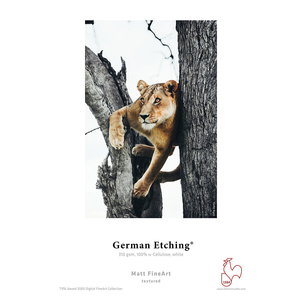 Hahnemuhle Matte German Etching, 100% TCF Pulp, Natural White Inkjet Paper, 19.6