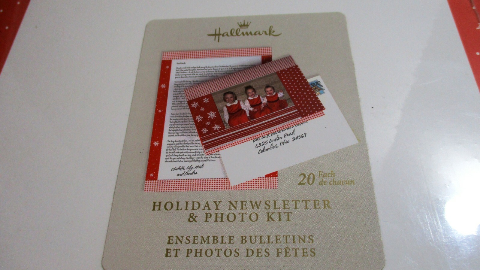 HALLMARK~HOLIDAY NEWLETTER & PHOTO KIT~20 Sheets & 20 Envelopes~Snowflakes~NIP