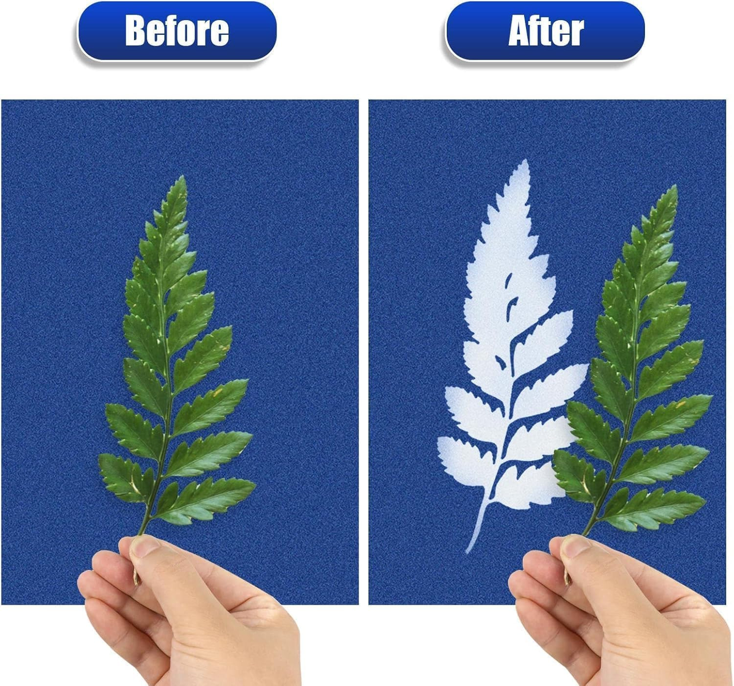 40 PCS Cyanotype Sun Print Kit, A5 Sensitive Solar Art Paper Kit with 20 Pcs Lea