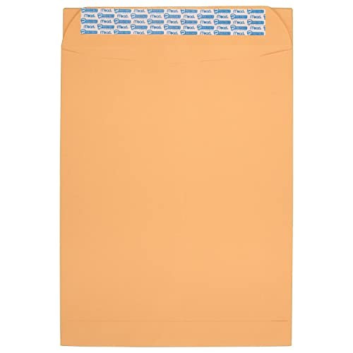 Envelopes, Letter Size 9″ x 12″, Press-It Seal-It 9 in. x 12 in. / 25-count