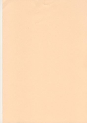 Salmon Meat Pink A4 Coloured Card 160gsm X 50 Sheets
