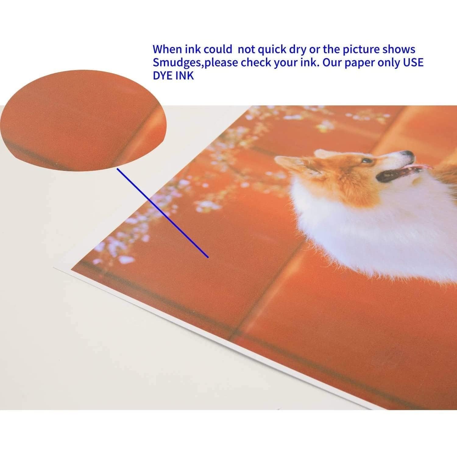 Double Sided Glossy Paper, 8.5×11 100 Sheets, Inkjet Dye Ink Compatible