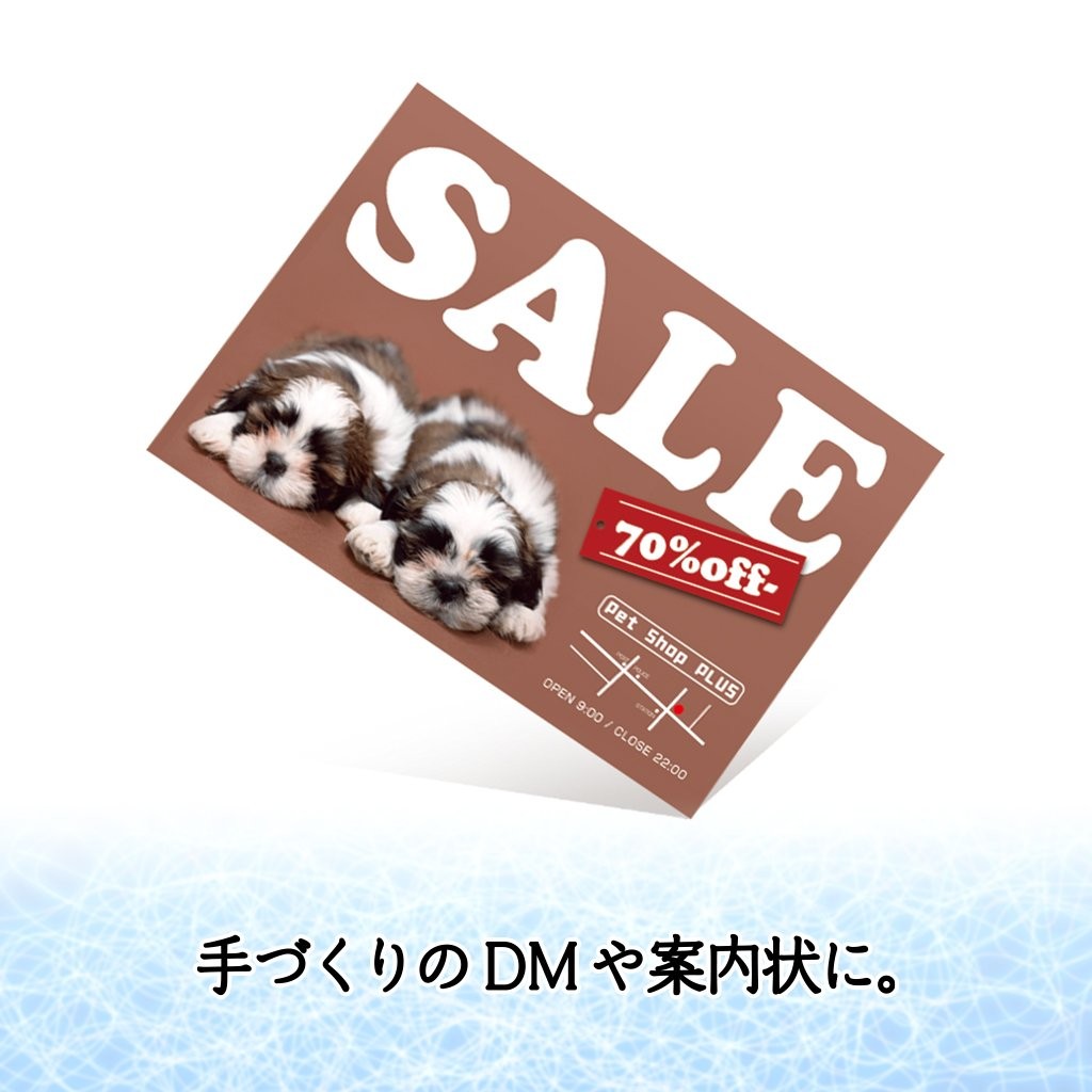 PLUS Inkjet Paper Thick Matte Paper A4 Size 50 Sheets IT-125MC 46-114