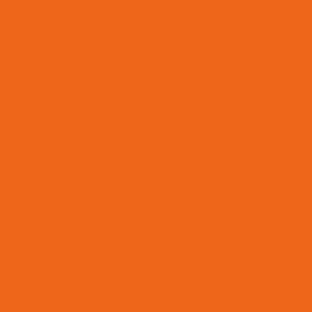 Coloured Printer Paper, Colourful Paper Tecno Colors 160gsm, A4, 250 Sheets, i…