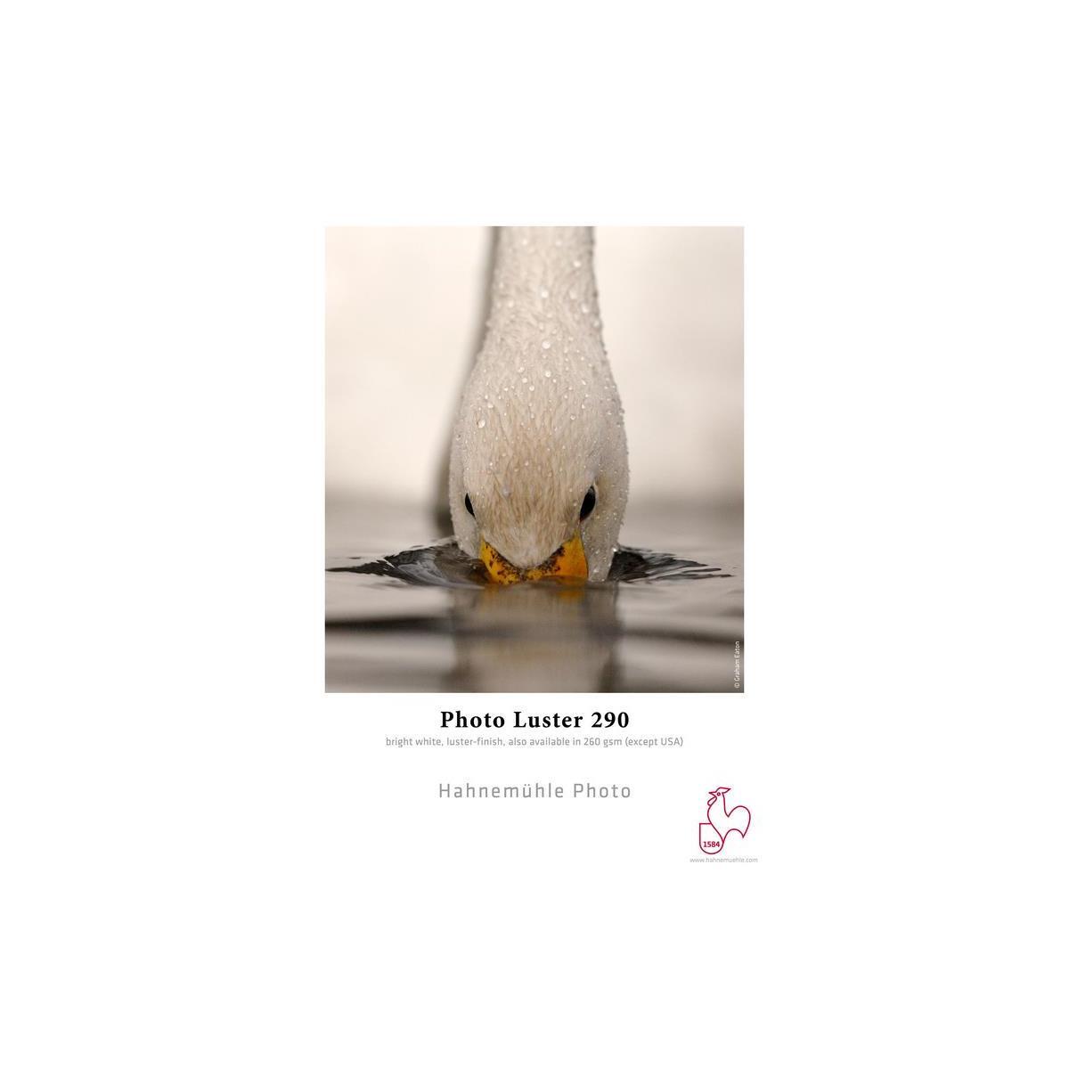 Hahnemuhle Photo Luster 290 Inkjet Paper, 13×19″, 25 Sheets #10641580