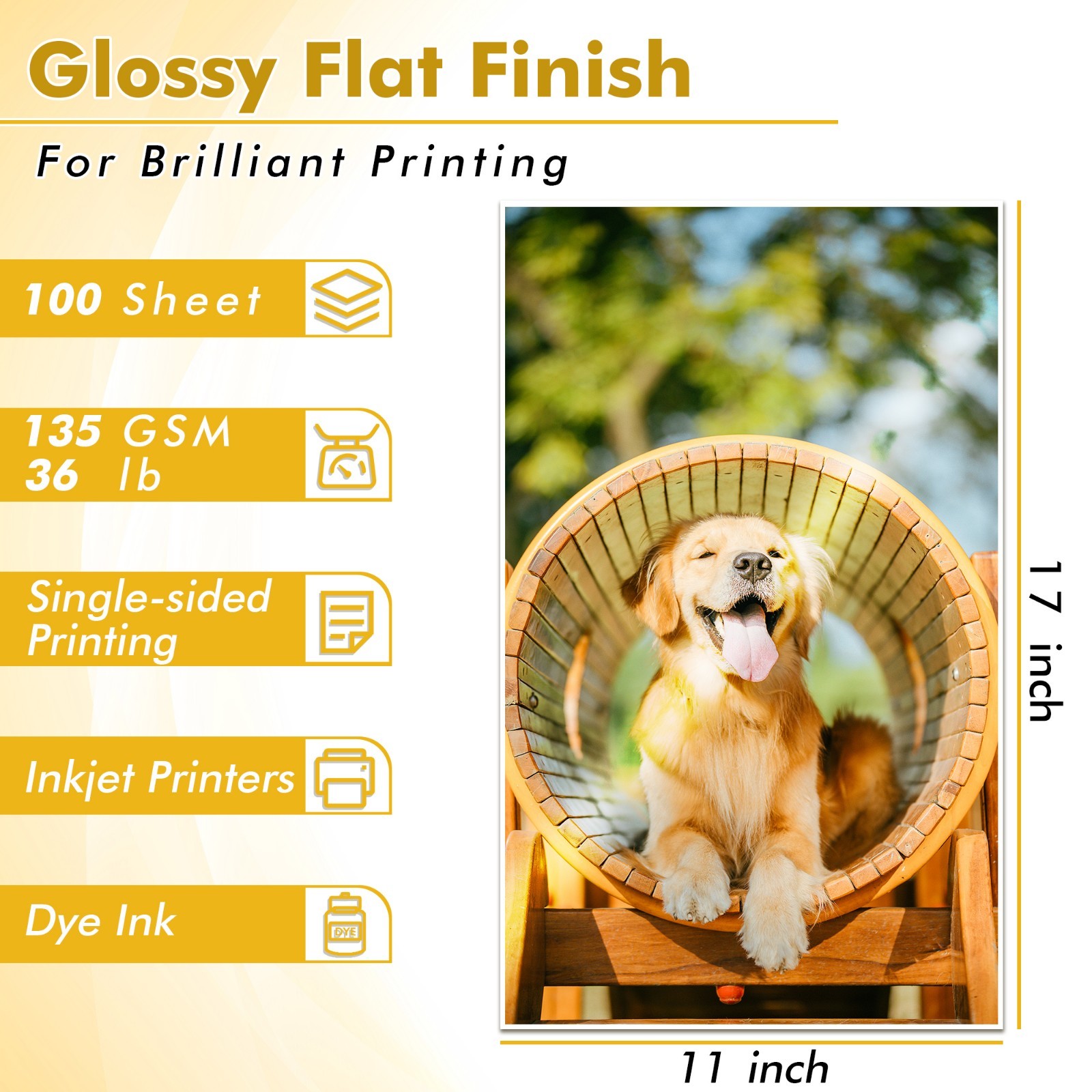 Koala Thin Glossy Photo Paper 8.5×11 36lb 200 Ct Inkjet Printer Flyer Brochure