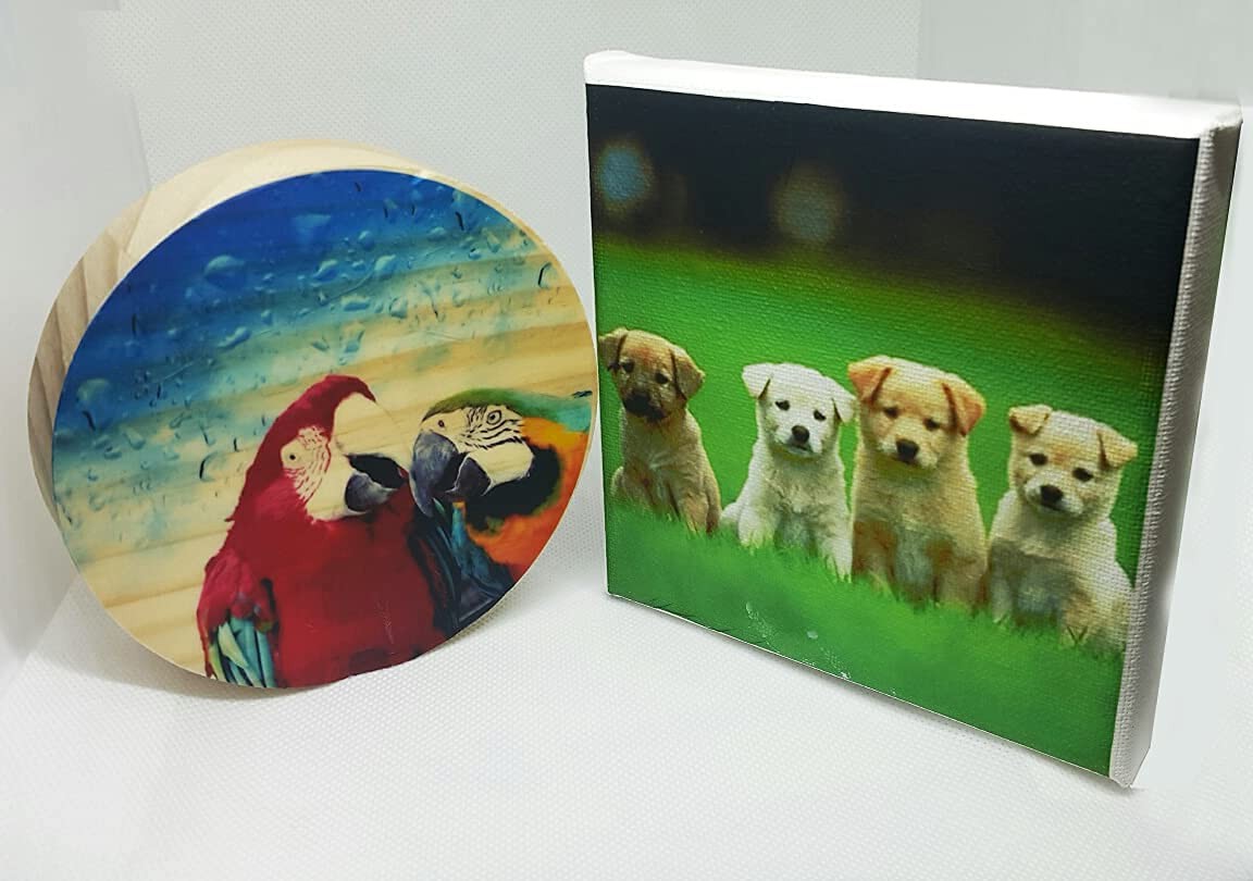 Dry Rub Off Decal Film For Inkjet Printer 5 Sets A4 8.27×11.7 Inch Premium
