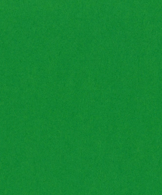 50 Sheets – Astrobright Cardstock – 65# Gamma Green