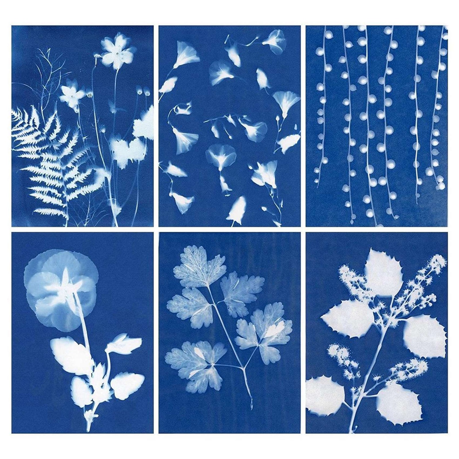 60 Sheets Sun Print Cyanotype Kit, A6 Sun Art with 1 Plastic Tool for5887