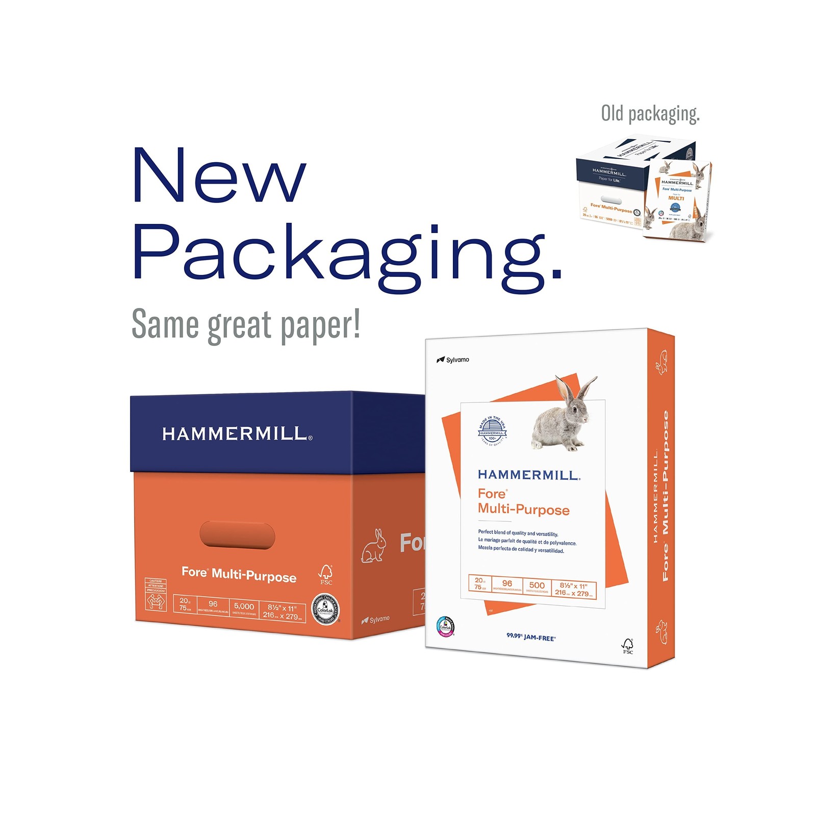 Hammermill Printer Paper, Fore Multipurpose 24 lb Copy Paper, 8.5 x 11 – 10 R…