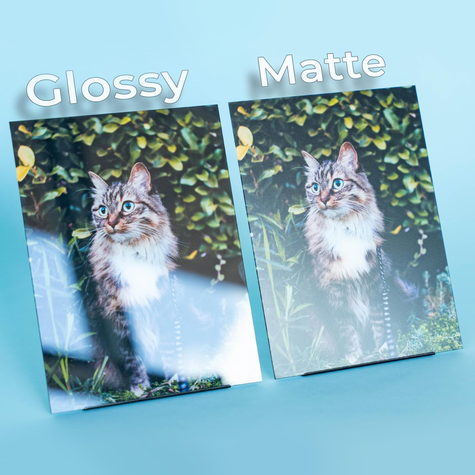 Evergreen Goods 50 Sheets A4 Glossy White Double Sided Printable Photo Paper…