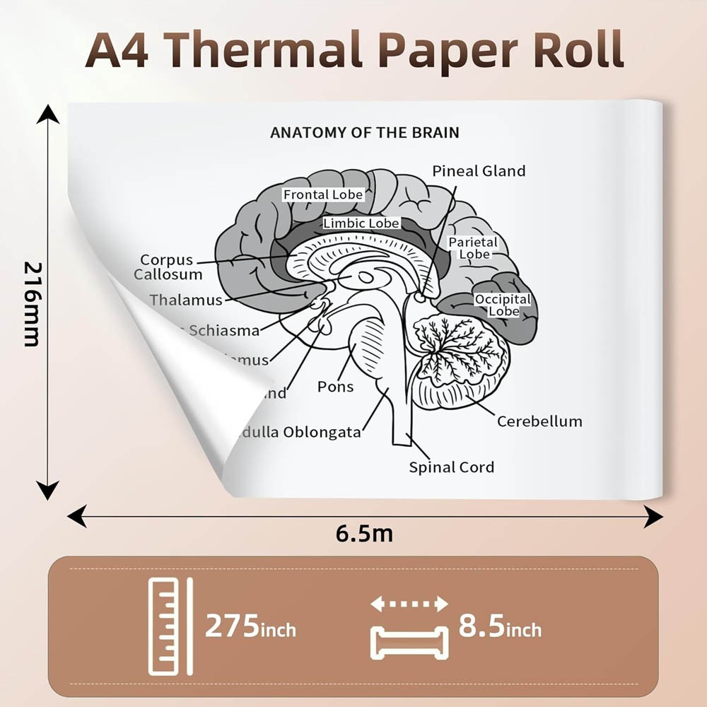 A4 Thermal Printer Paper 8.5×11″ for M08F M832 M834 Portable Printer 4 Rolls
