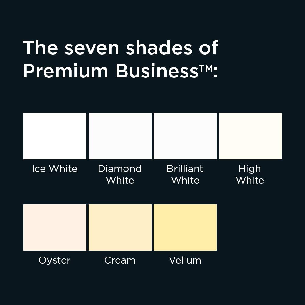 Premium Business 31677 Paper Ice White Wove A4 297 x 210mm 120gsm | 500 Count