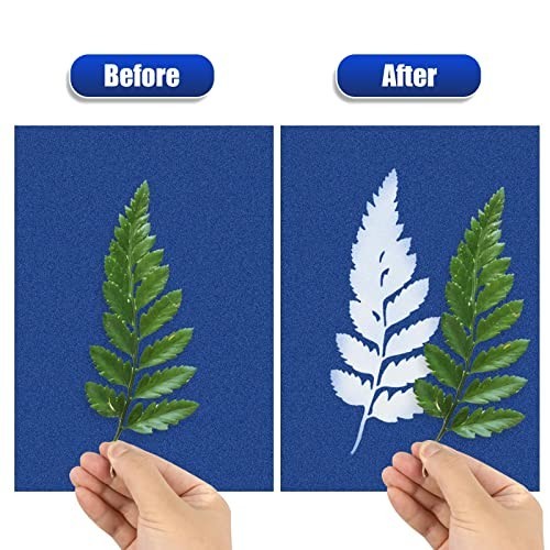 Sun Print Paper Kit 24 Sheets Cyanotype Paper Acrylic Board Solar Activated DIY