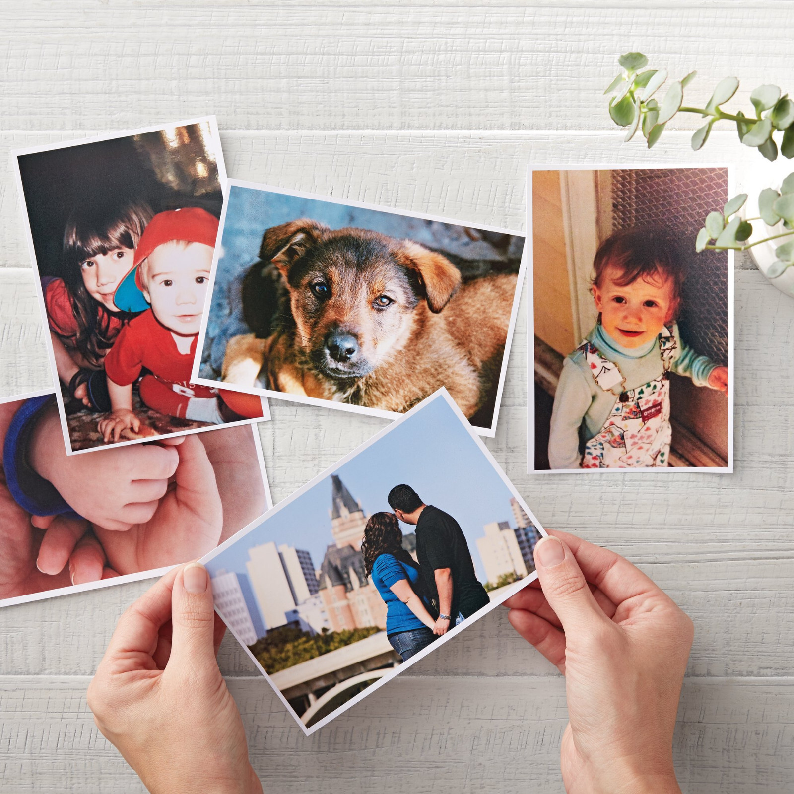 Lot Koala Inkjet Photo Paper 4X6 5X7 8.5X11 11×17 13×19 Glossy 61lb eavyweight