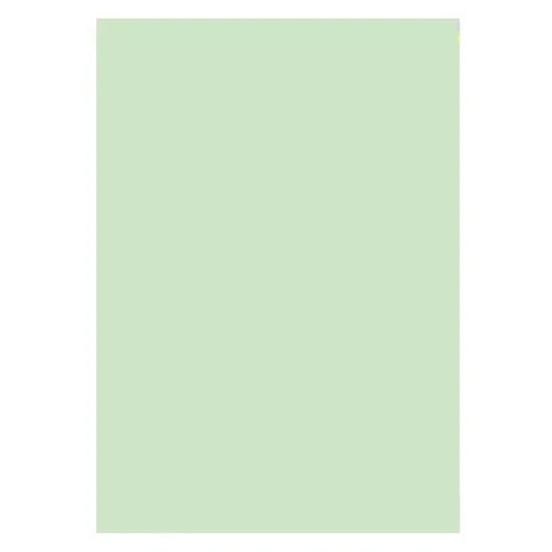 Xerox Multipurpose Pastel Green Paper 20-lb 500 sheets 8.5″x14″ Legal 3R20086