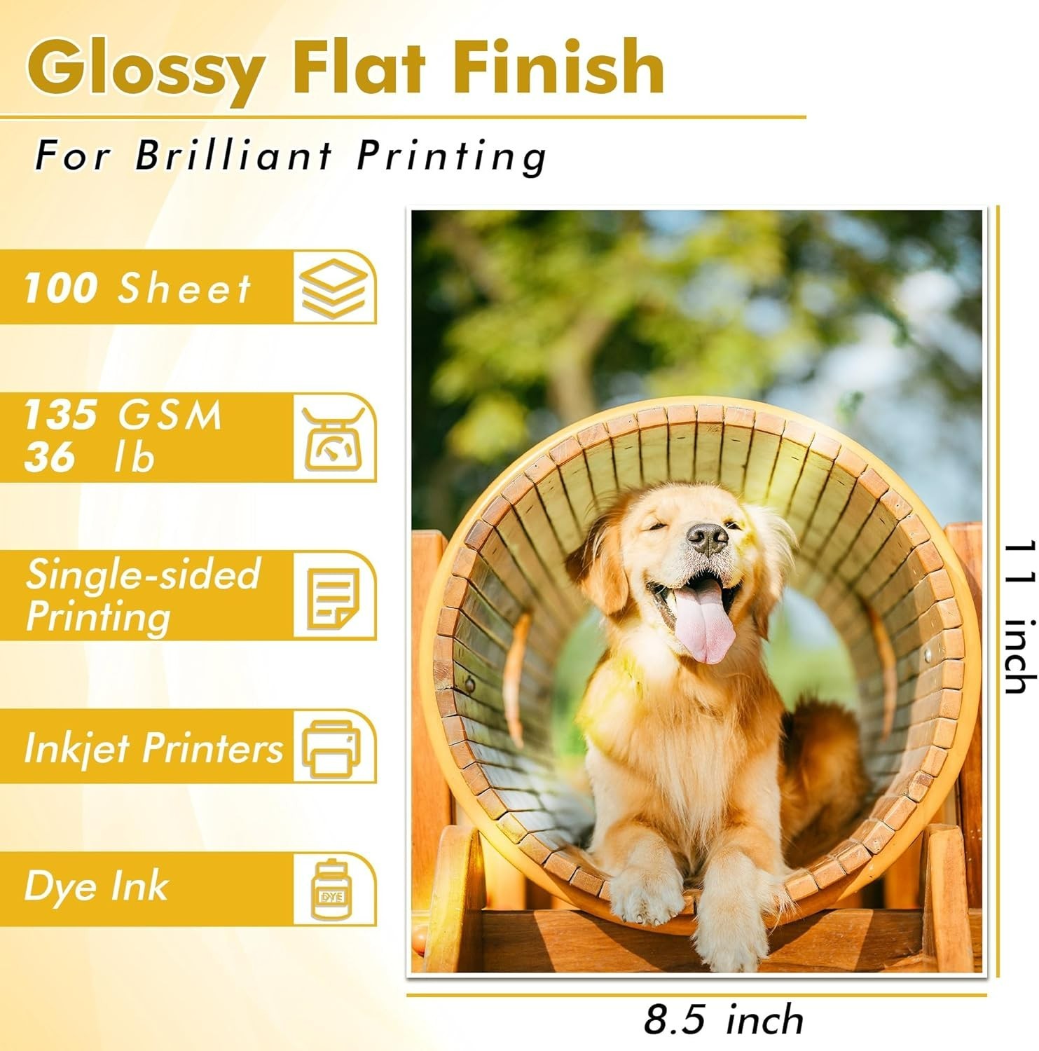 Koala 8.5”x11” Glossy Printer Paper, 100 Sheets – Ideal for Stunning Graphics