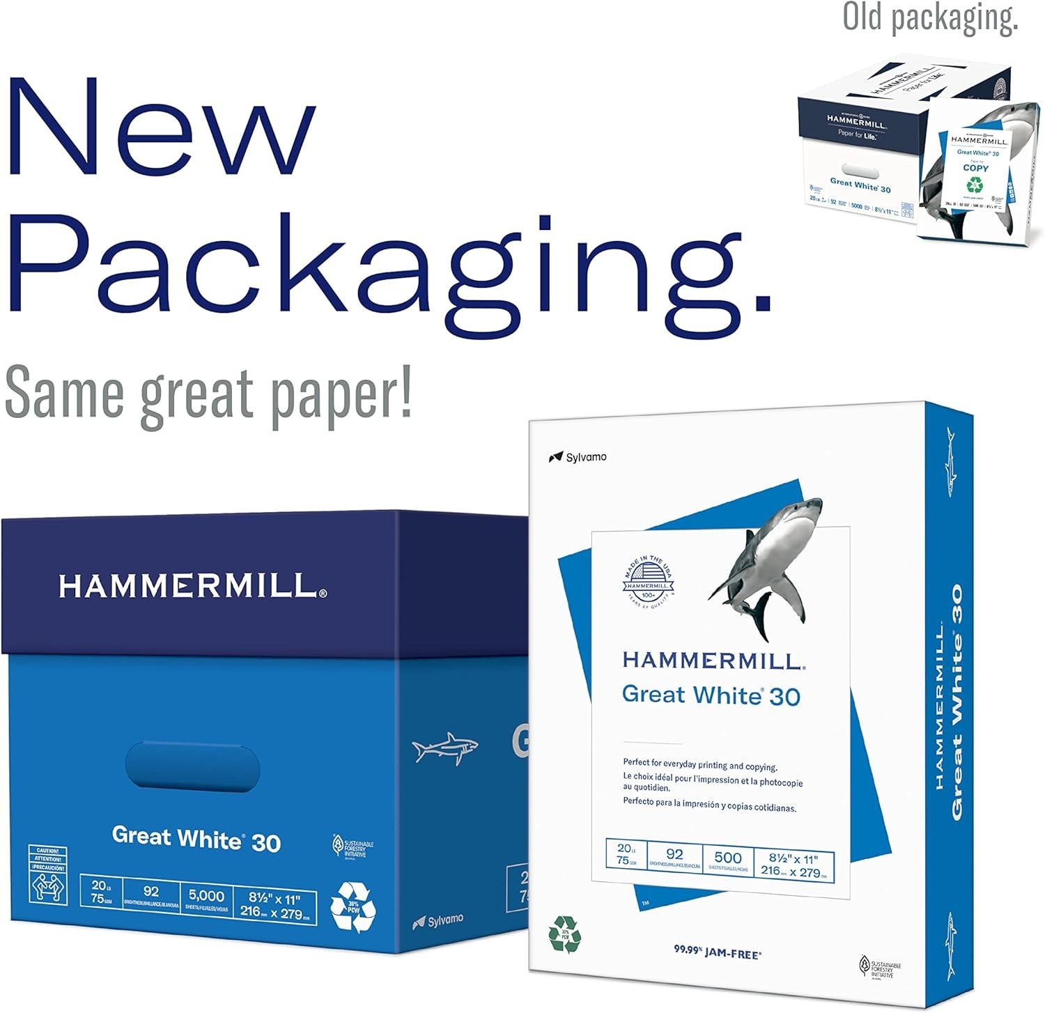 Eco-Friendly Great White 30% Recycled Printer Paper, Letter Size – 500 Sheets