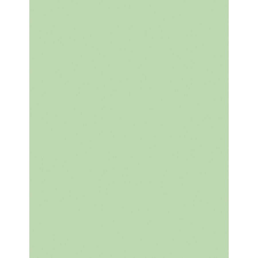 Sparco SPR05123 Premium Pastel Copy Paper 8.5×11 Green 20lb
