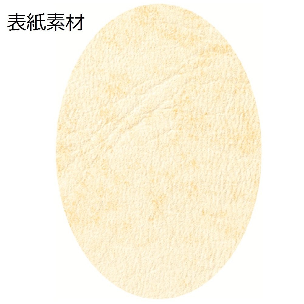 Gakken Staifle Color Paper for Adults, Clover D18004