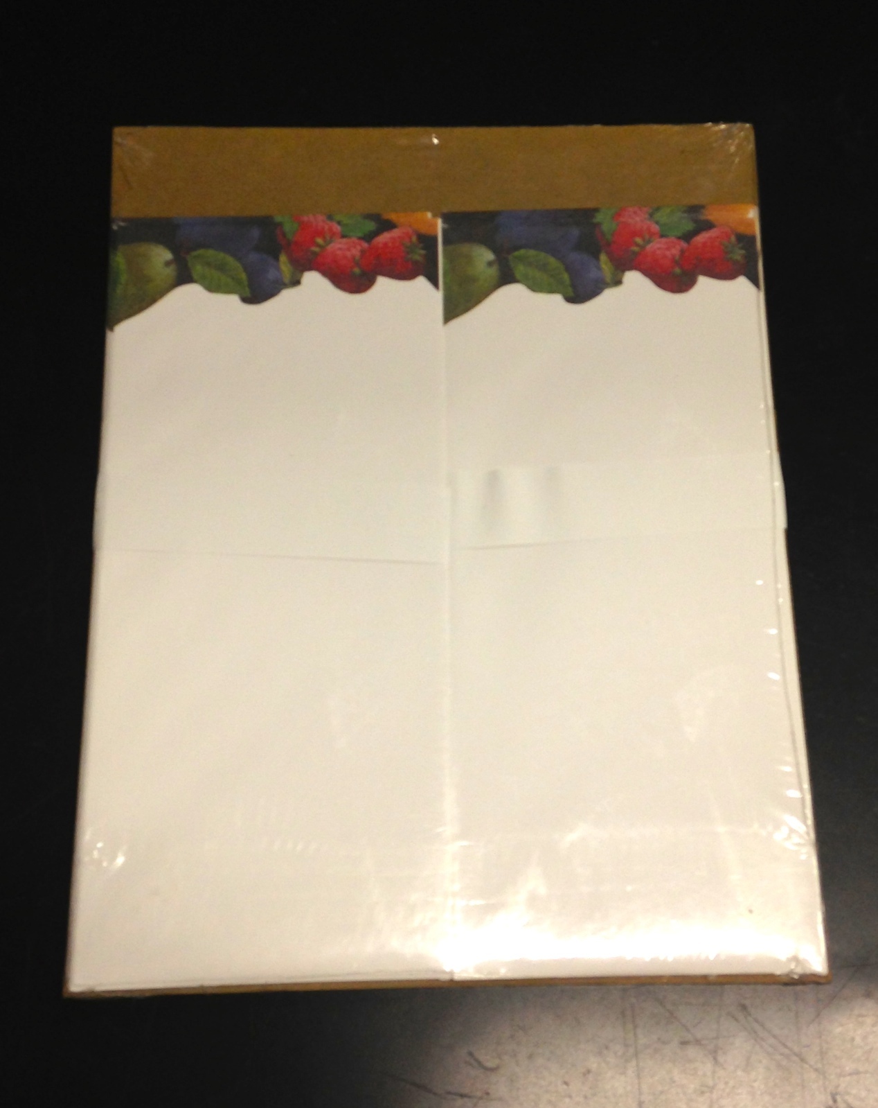 Set of 16 Paper and Envelope All Occasion Computer Paper w/ Fruit Design Border