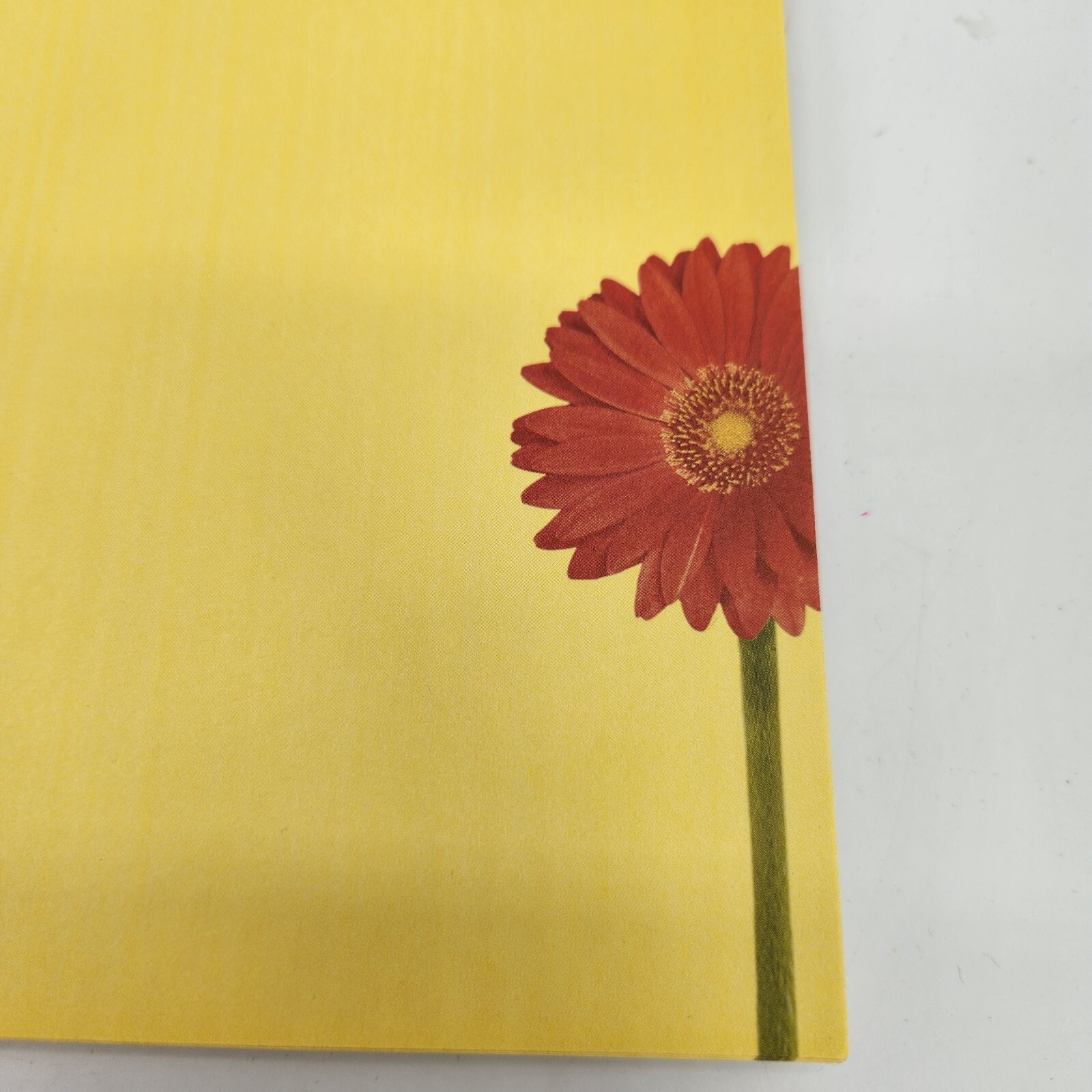 Computer Paper Stationary 8.5×11 Bright Yellow Bold Zinnia Flowers GARDEN PARTY
