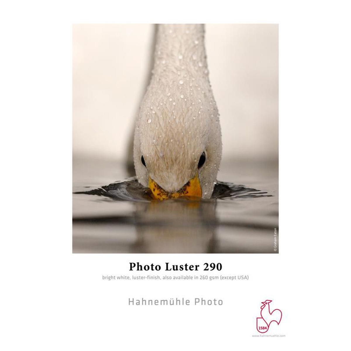Hahnemuhle Photo Luster 290 Inkjet Paper, 8.5×11″, 25 Sheets