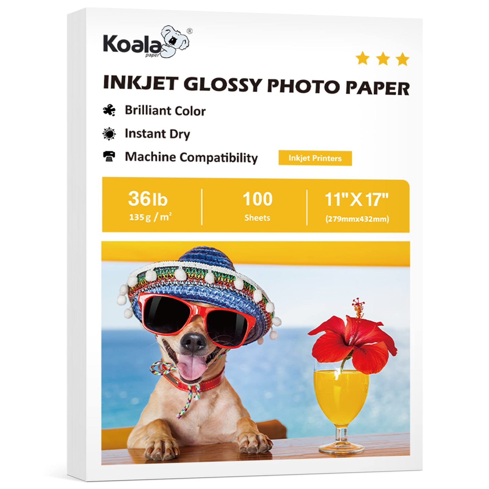 Koala Glossy Thin Inkjet Printer Paper 11×17 Inches for Printing Brochure Flyer