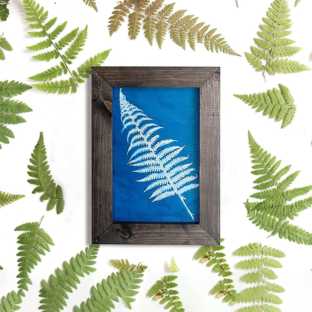 30 Pcs Cyanotype Paper Sun Print Paper Kit High Sensitivity Nature Drawing Print