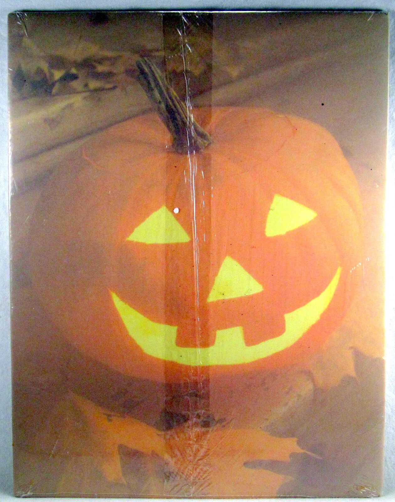 SEALED GEOGRAPHICS “Halloween Papers” 25 Count GeoJack O’Lantern 8 1/2″ x 11″