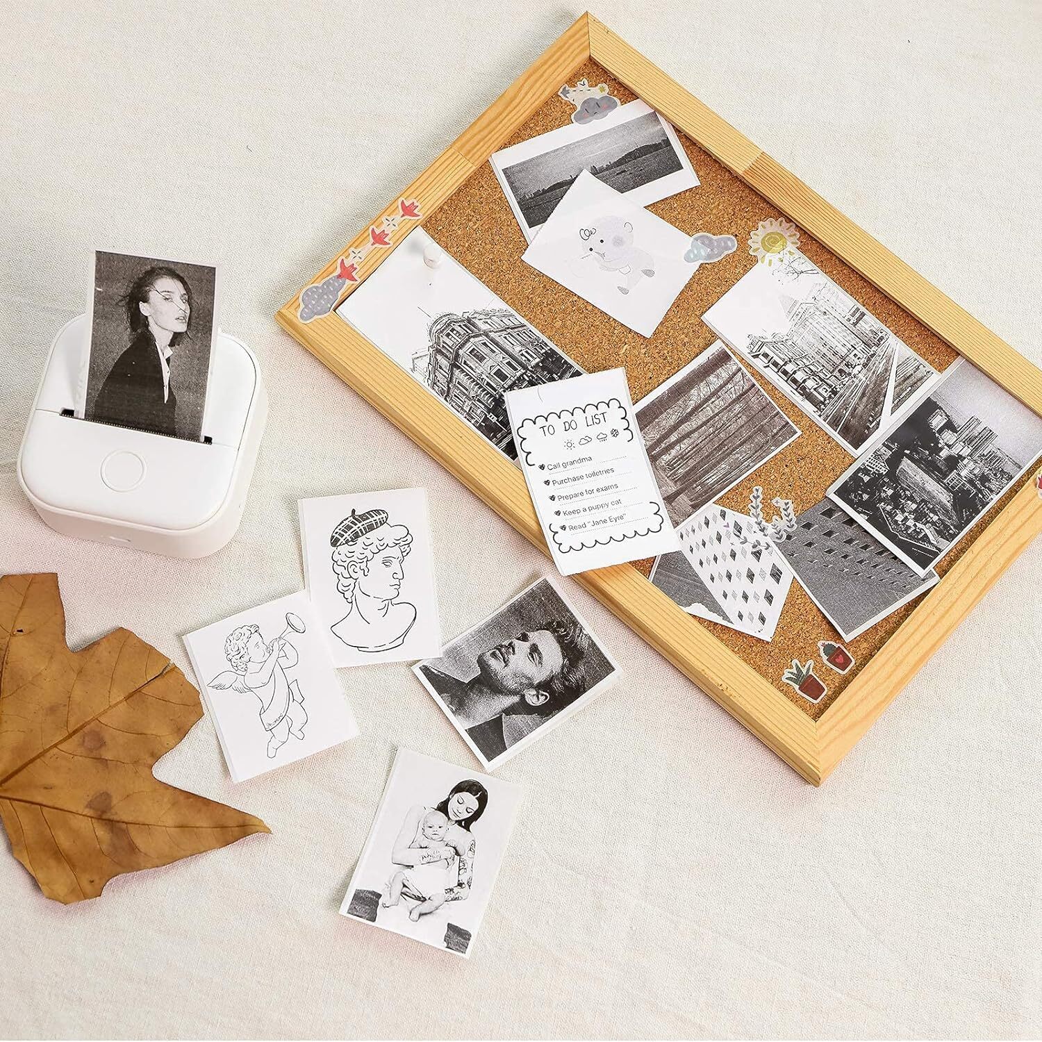 3Rolls Self-Adhesive/Non-Adhesive 50mm Thermal Printer Paper for Phomemo T02 M02