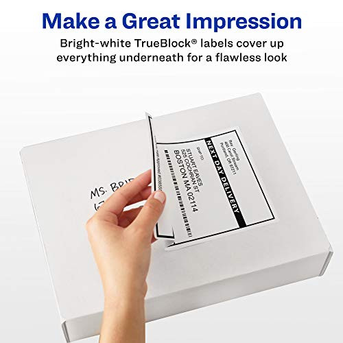 Shipping Address Labels, Laser & Inkjet Printers, 3-1/3×4 Labels, 60 Labels