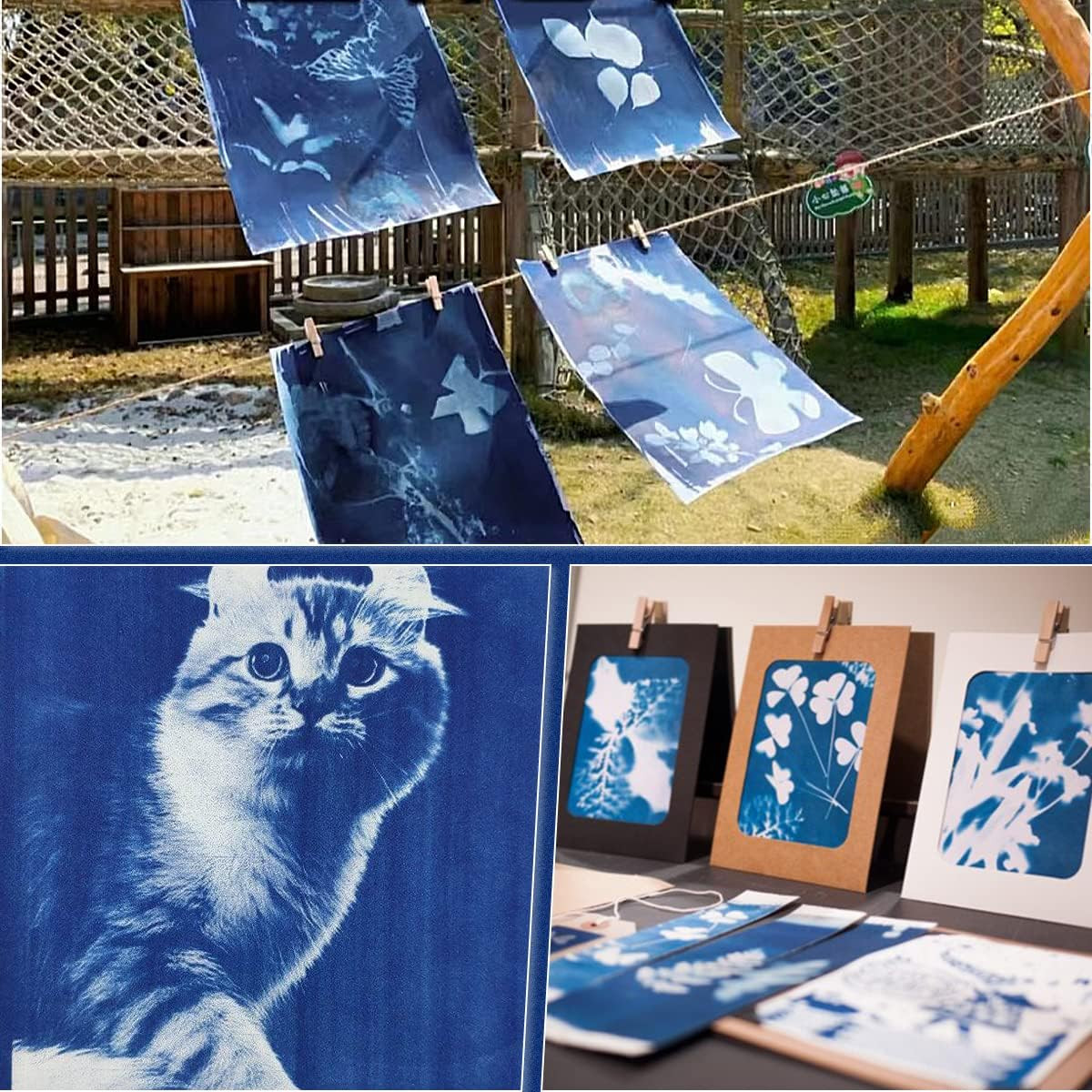30 Pcs Cyanotype Paper Sun Print Paper Kit High Sensitivity Nature Drawing Print