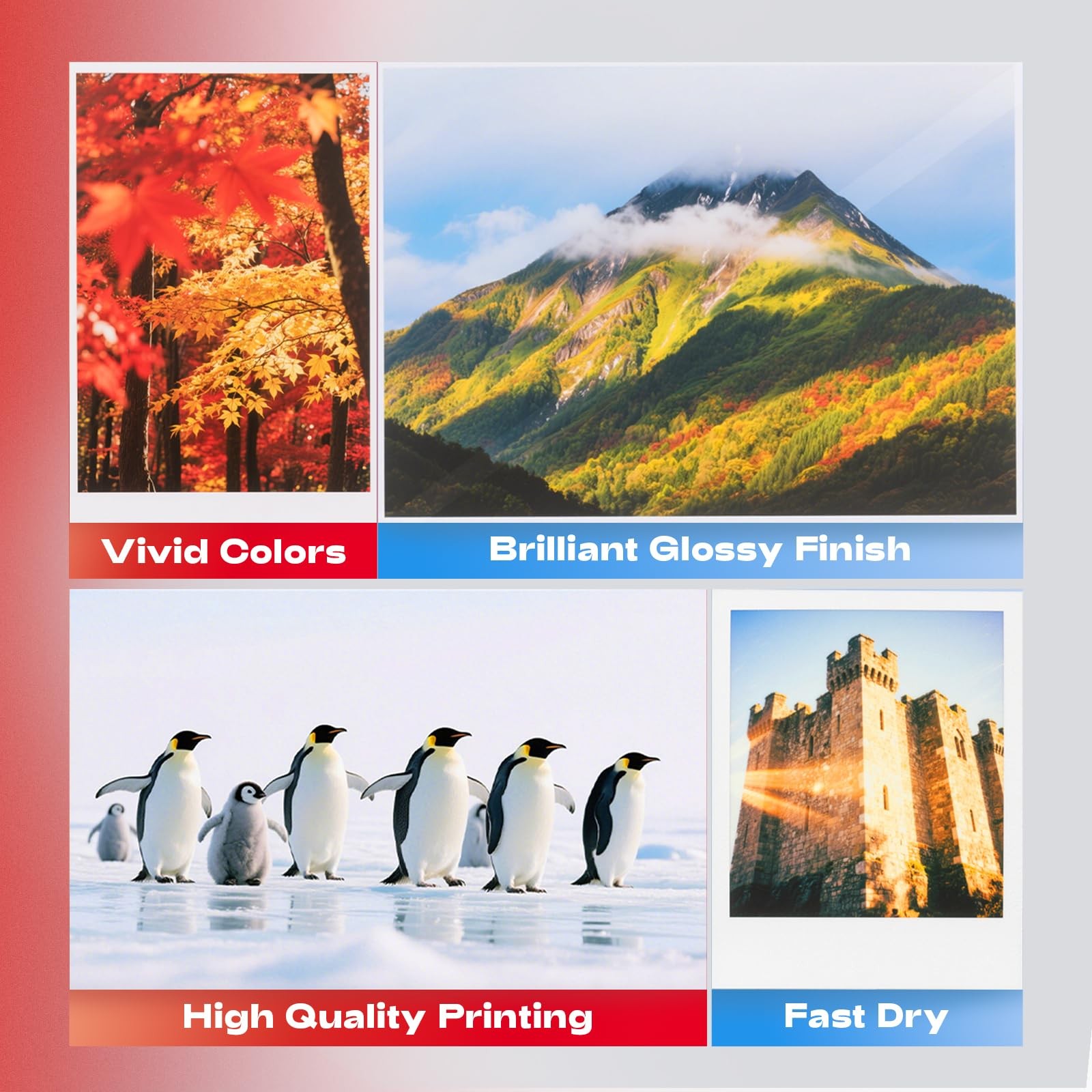 60 Sheets Heavyweight Inkjet Glossy Photo Paper 11 x 17 inch 65lb 250gsm for …