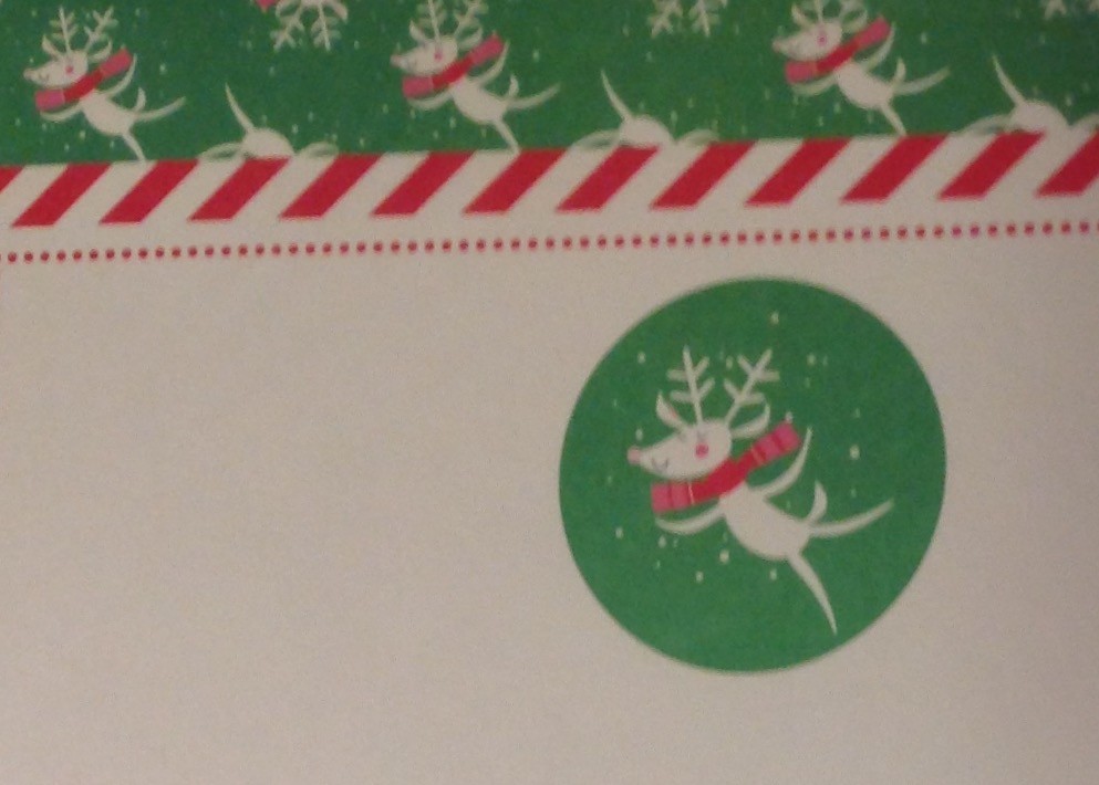 Computer Printer Paper Rudolph Red Nose Reindeer Border 40 Sheets Stationery