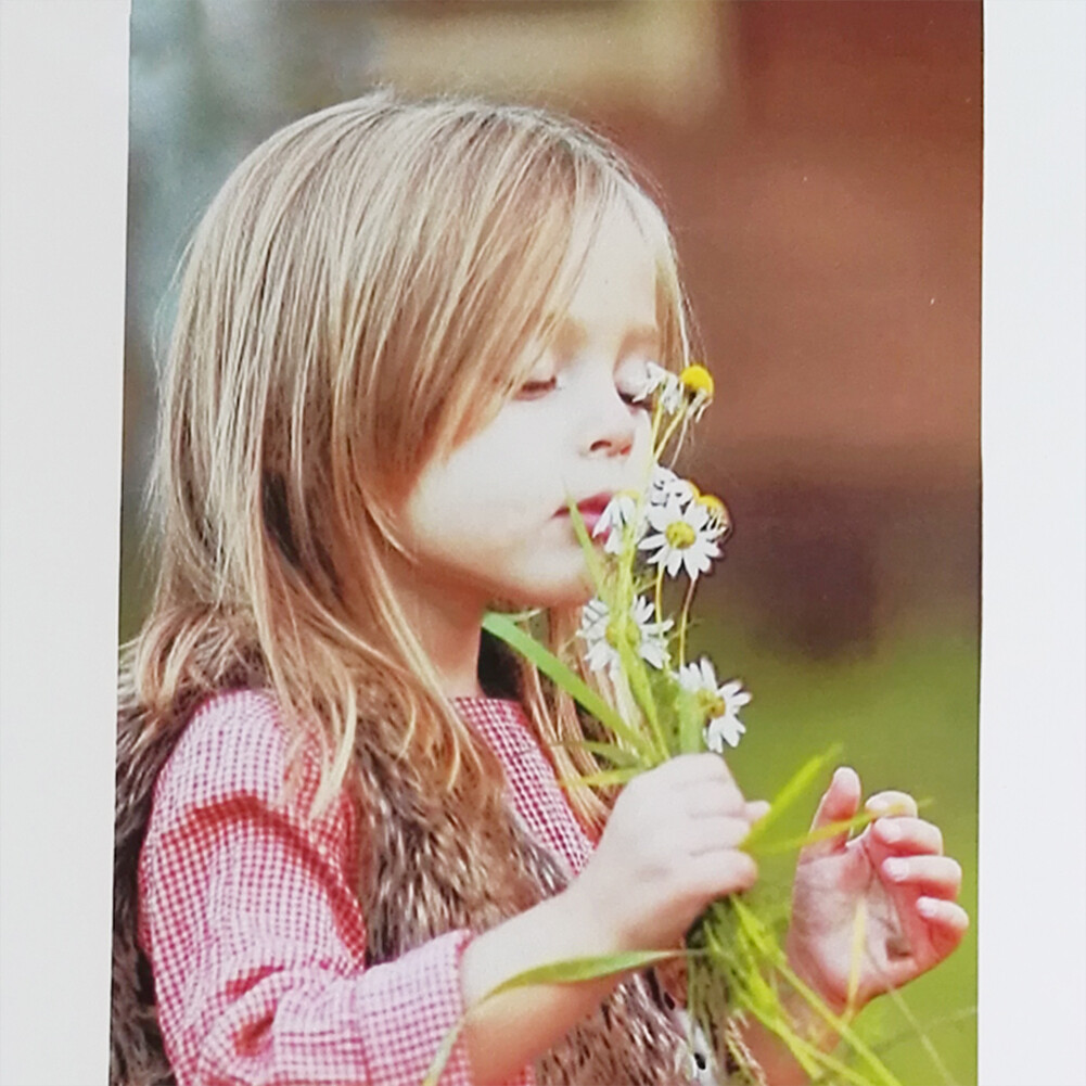 NEW Waterproof Outdoor Photo Paper Printing Paper Roll 54″x165ft. Matte Paper
