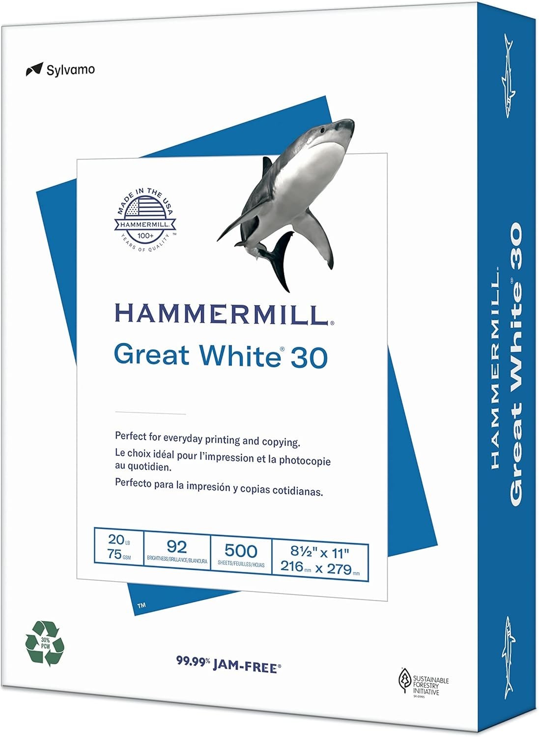 Eco-Friendly Great White 30% Recycled Printer Paper, Letter Size – 500 Sheets