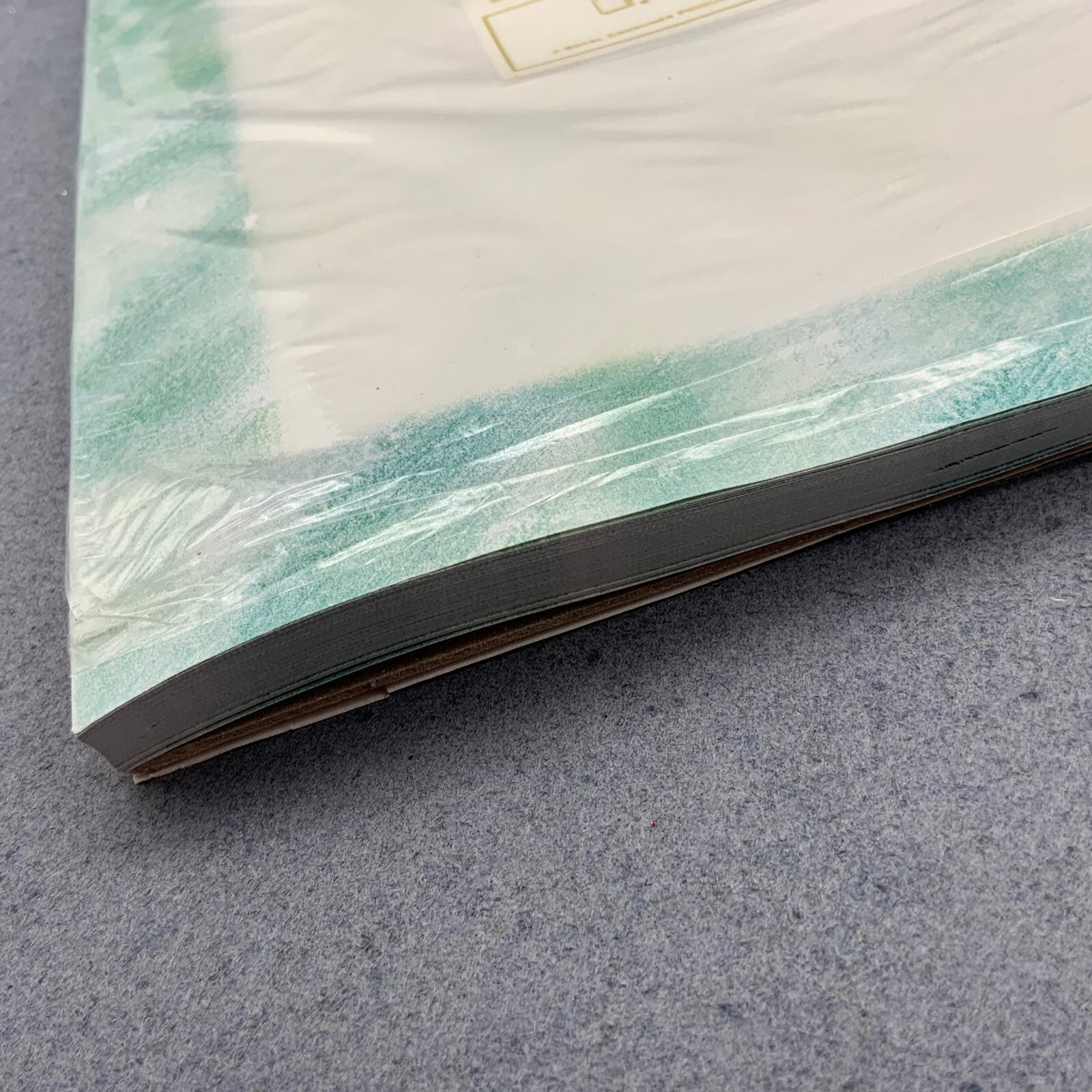 Pine Branch Letterhead Geographics 60 Pounds 8 1/2 x 11 Retro Scrapbooking
