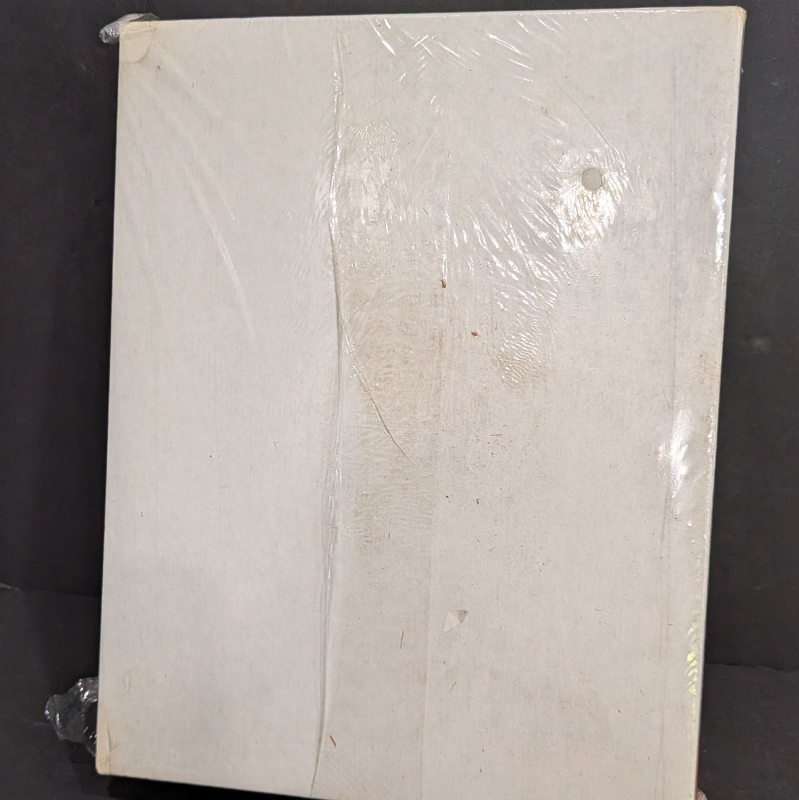Vintage Southworth Watermark Electronic Paper 25% Cotton Premium 500 Sheets Box
