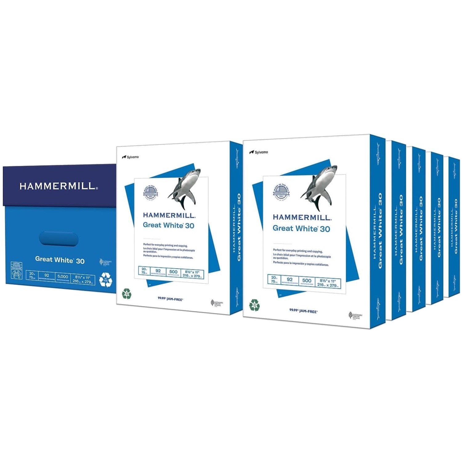 Eco-Friendly 30% Recycled Printer Paper, 5000 Sheets