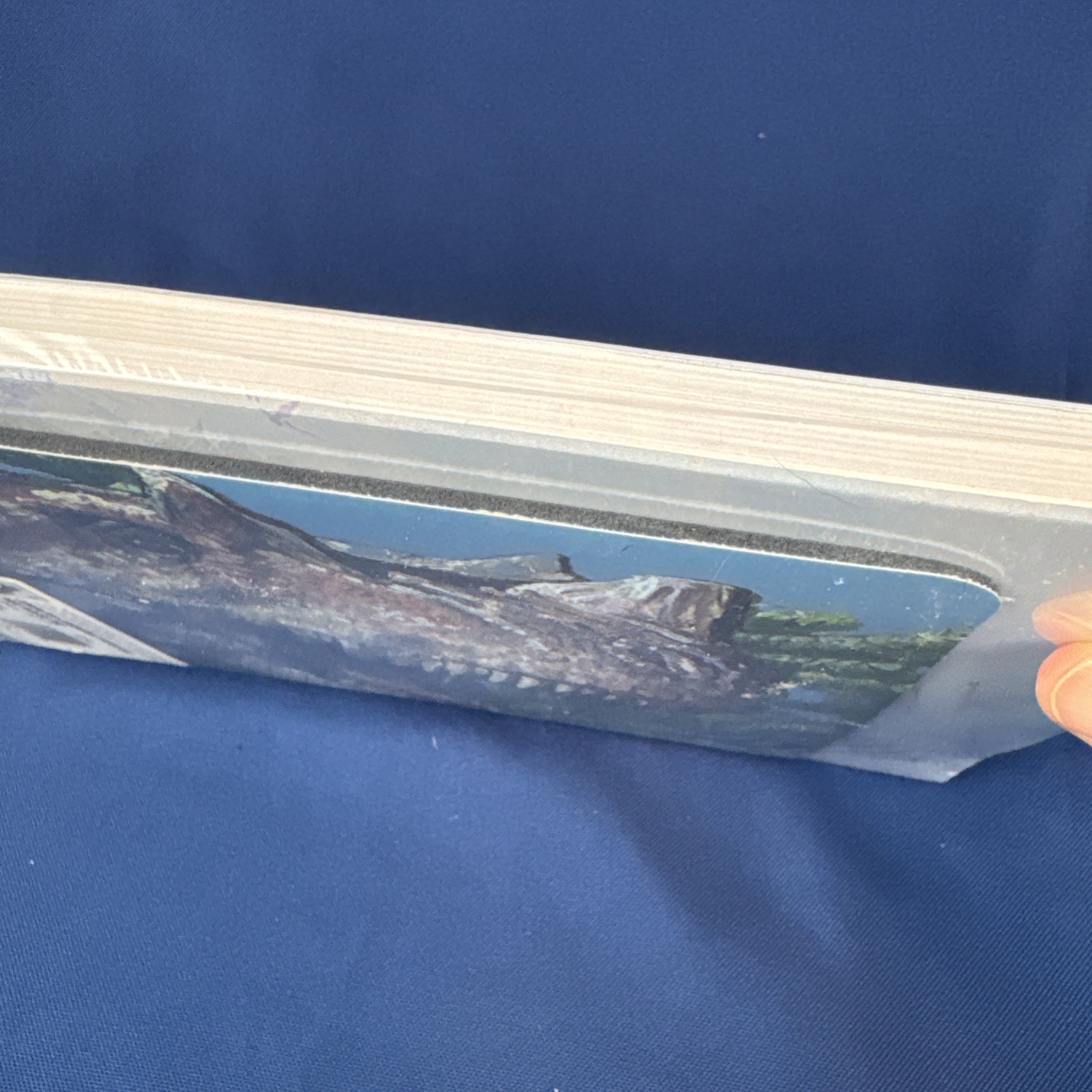 VTG 1997 Dinosaur Printer Paper 100-Pk + MOUSE PAD Sealed USPS Brontosaurus USA