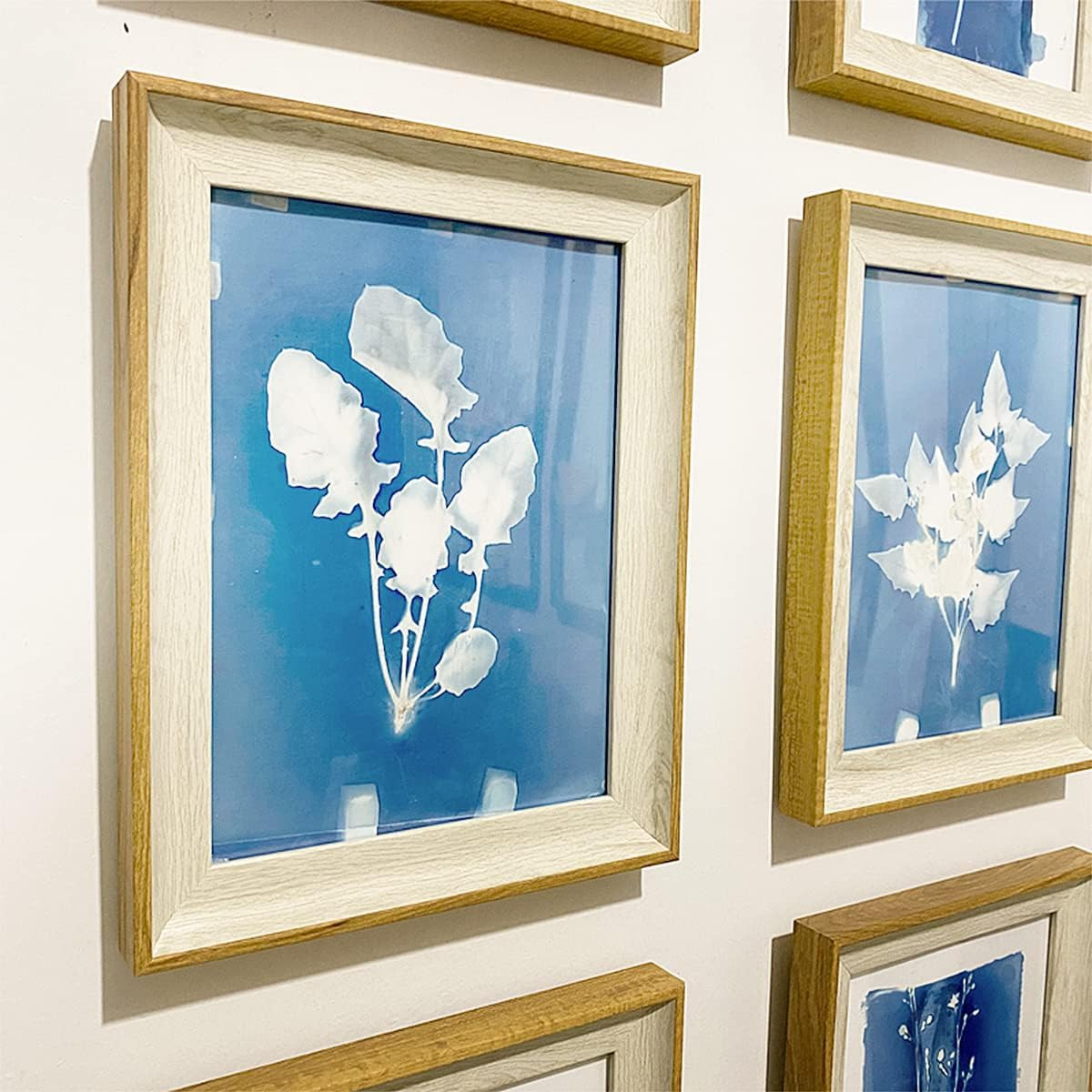 30 Pcs Cyanotype Paper Sun Print Paper Kit High Sensitivity Nature Drawing Print