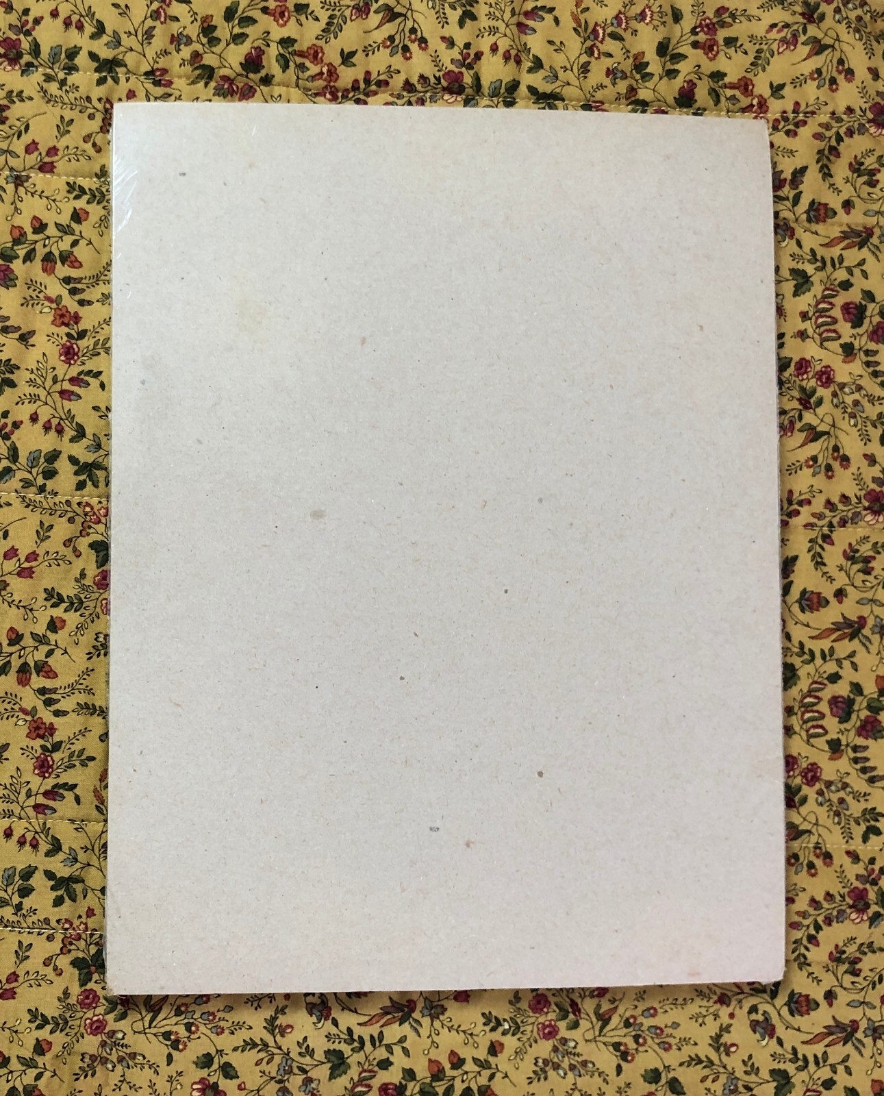 vtg 1992 Safari Animals Stationery Laser Paper 8.5 x 11 Deadstock 100 Sheets